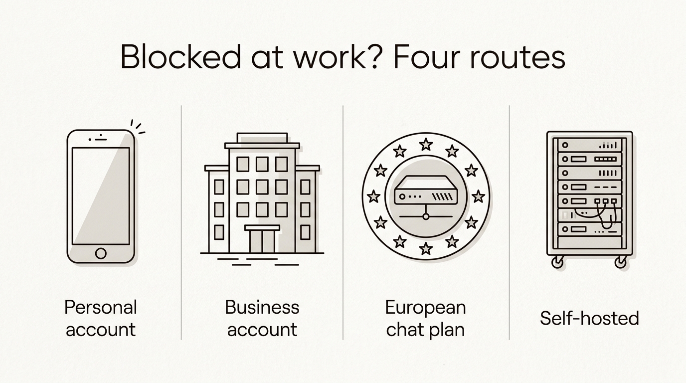 Four routes when AI is blocked at work: a personal account, a business account, a European chat plan, or a self-hosted model.